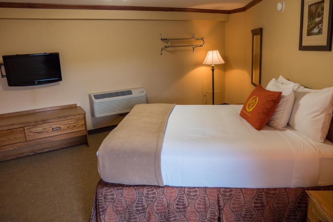 Wild Bear Inn Pigeon Forge Buitenkant foto